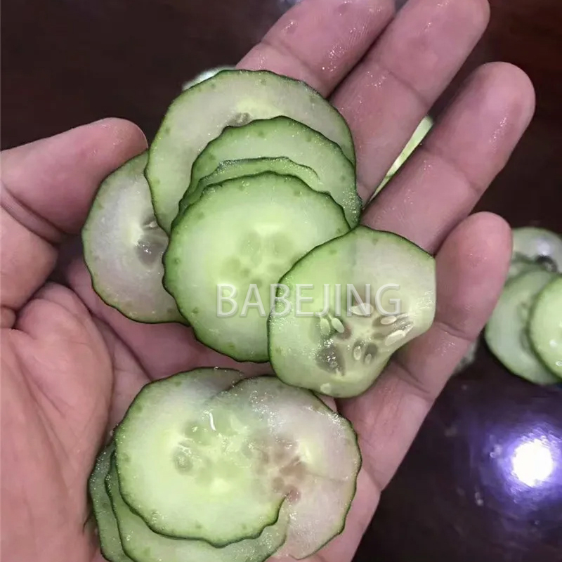 Electric Mini Scallion Chopper - Commercial Kitchen Appliance avaliação e preço